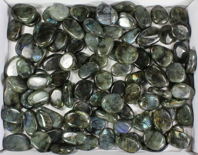 Lot: Polished Labradorite Pebbles - kg ( lbs) #77718